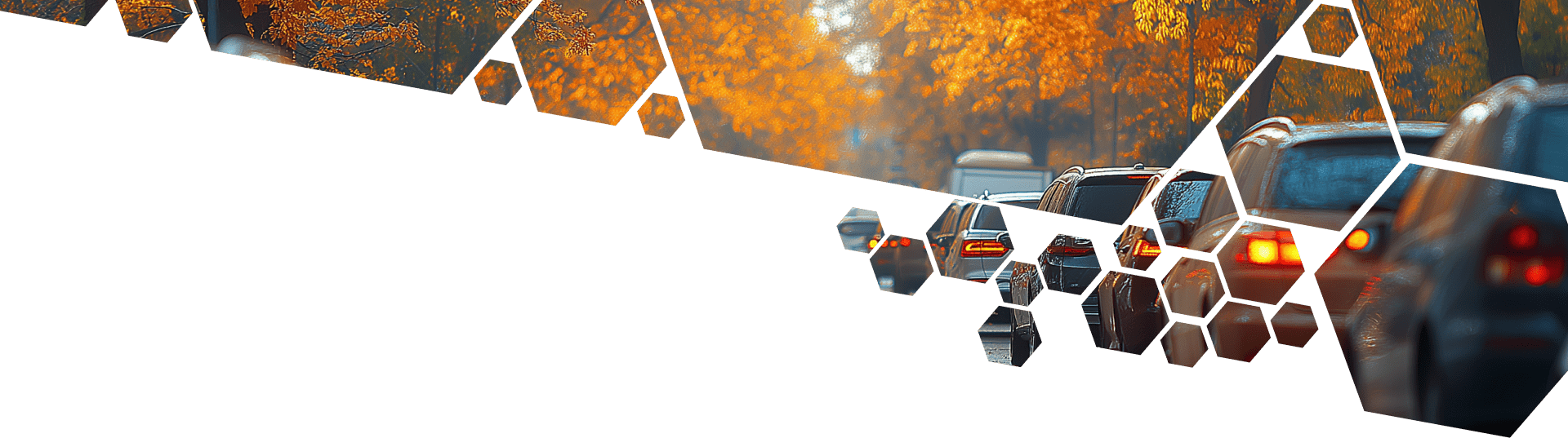 Top Image