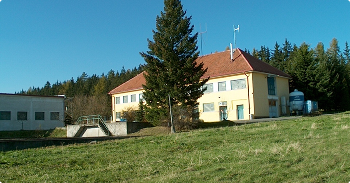 Reference Image