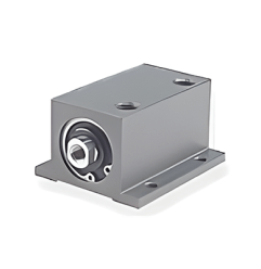 module image